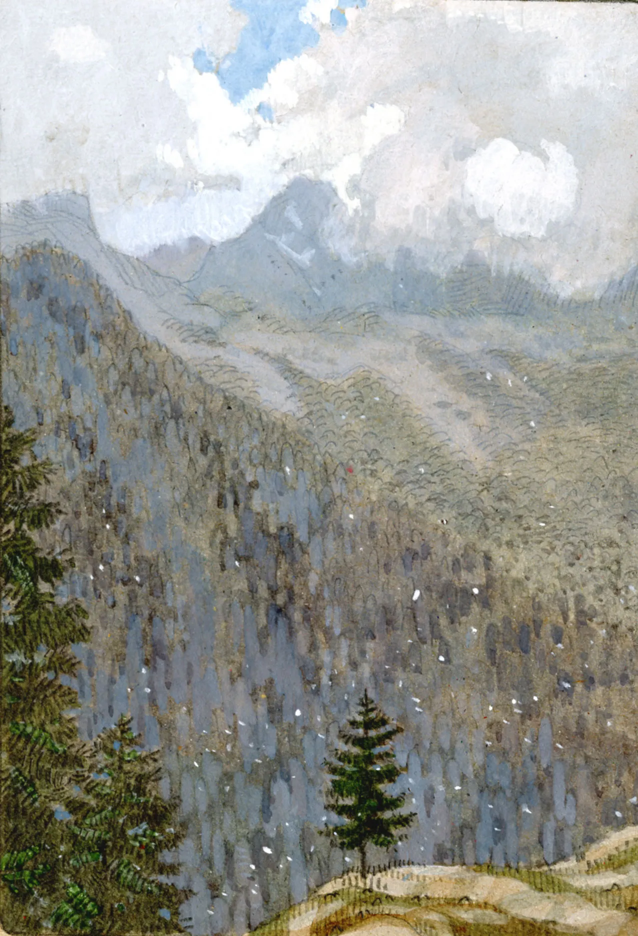 Иллюстрация 9 к книге Тропа в белых облаках