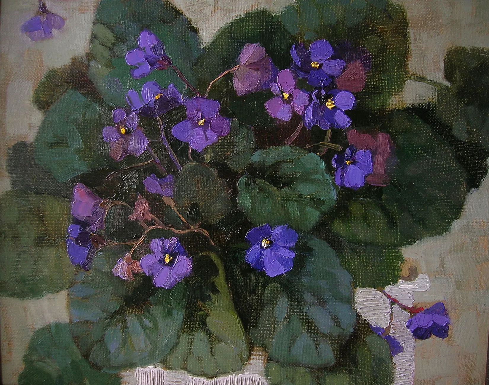 Мамины фиалки