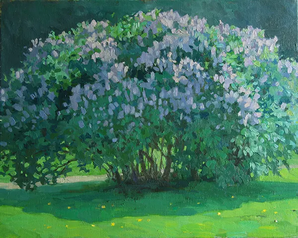 Сирень и солнце